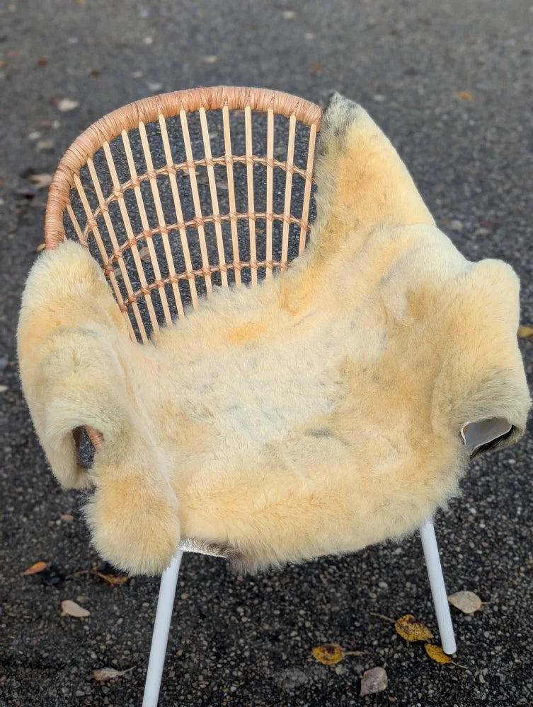 A soft creamy off-white naturally spotted medical sheepskin blanket draped over a wicker chair with white metal legs
