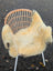 A soft creamy off-white naturally spotted medical sheepskin blanket draped over a wicker chair with white metal legs