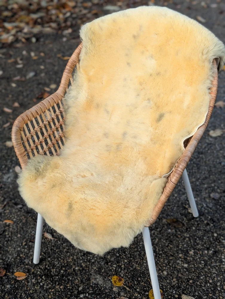 Cream-colored naturally spotted medical sheepskin draped over wicker chair with white metal legs washable and medical sheepskins