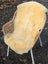 Cream-colored naturally spotted medical sheepskin draped over wicker chair with white metal legs washable and medical sheepskins