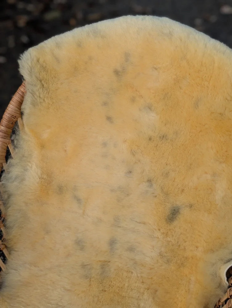 Soft pale yellow washable medical sheepskin rug naturally spotted with fluffy edges measuring 46.5 by 22 inches