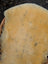 Soft pale yellow washable medical sheepskin rug naturally spotted with fluffy edges measuring 46.5 by 22 inches