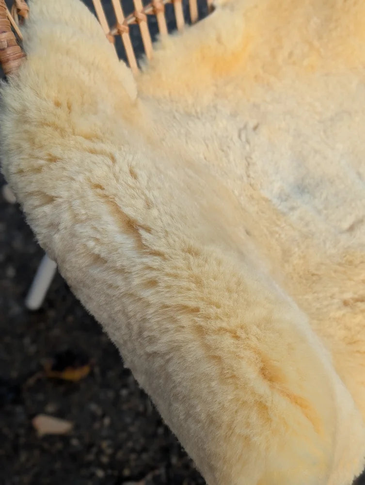 A soft creamy off-white washable medical sheepskin rug with a naturally spotted plush textured surface
