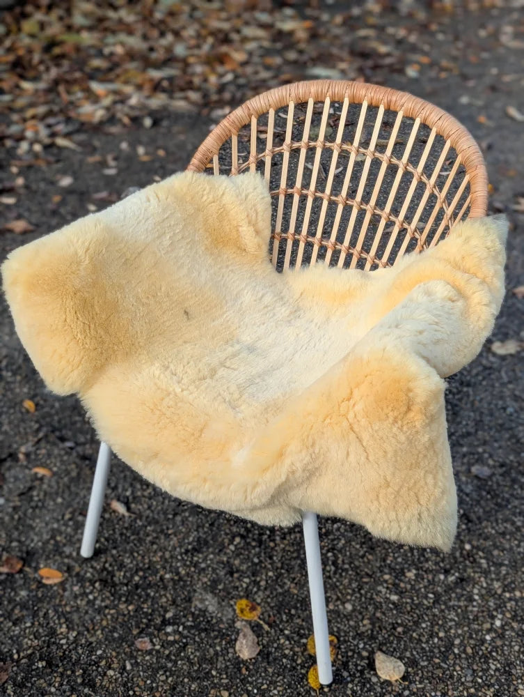 Cream-colored naturally spotted medical sheepskin blanket draped over wicker chair washable and soft