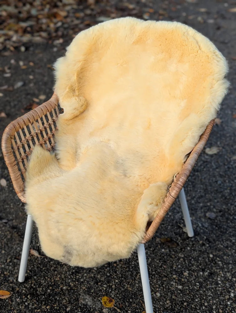 Cream-colored medical sheepskin rug naturally spotted draped over wicker chair with white metal legs, washable and soft