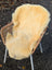 Cream-colored medical sheepskin rug naturally spotted draped over wicker chair with white metal legs, washable and soft