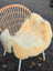 A cozy cream-colored naturally spotted medical sheepskin chair cover draped over a wicker framed chair with white legs