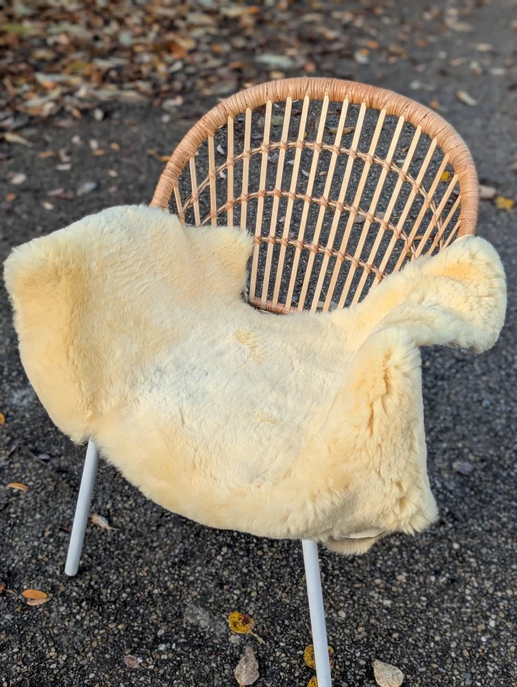 Cream-colored naturally spotted medical sheepskin cover on woven rattan chair with white metal legs washable and soft