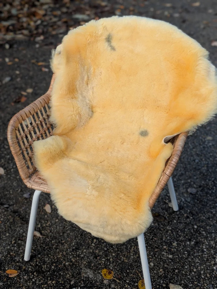 A soft pale yellow medical sheepskin rug with natural spots on a wicker chair from angus oliver british sheepskins