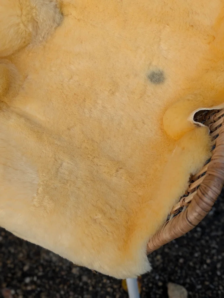 A soft pale yellow medical sheepskin rug with plush texture and natural fur edges by angus oliver