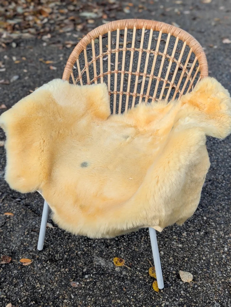 A soft pale yellow british sheepskins medical sheepskin draped over a wicker chair with white metal legs by angus oliver