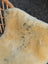 Cream-colored medical sheepskin rug with natural soft fur and subtle dark speckles naturally spotted and washable