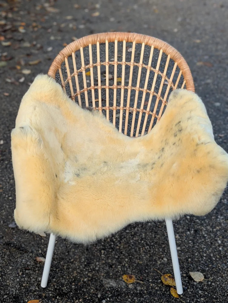 A soft creamy beige naturally spotted medical sheepskin blanket draped over a wicker chair with white metal legs