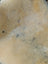 Cream-colored fluffy medical sheepskin rug with natural tone variations and subtle dark speckles naturally spotted