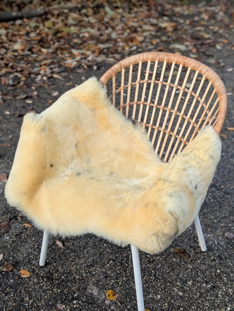 A cozy cream-colored medical sheepskin naturally spotted draped over a modern wicker chair with white metal legs