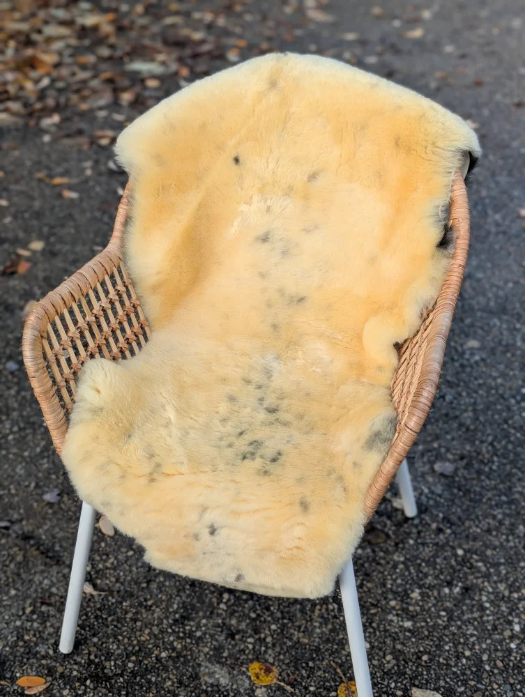 Cream-colored naturally spotted medical sheepskin rug draped over wicker chair with white metal legs MED26 47 x 27 washable