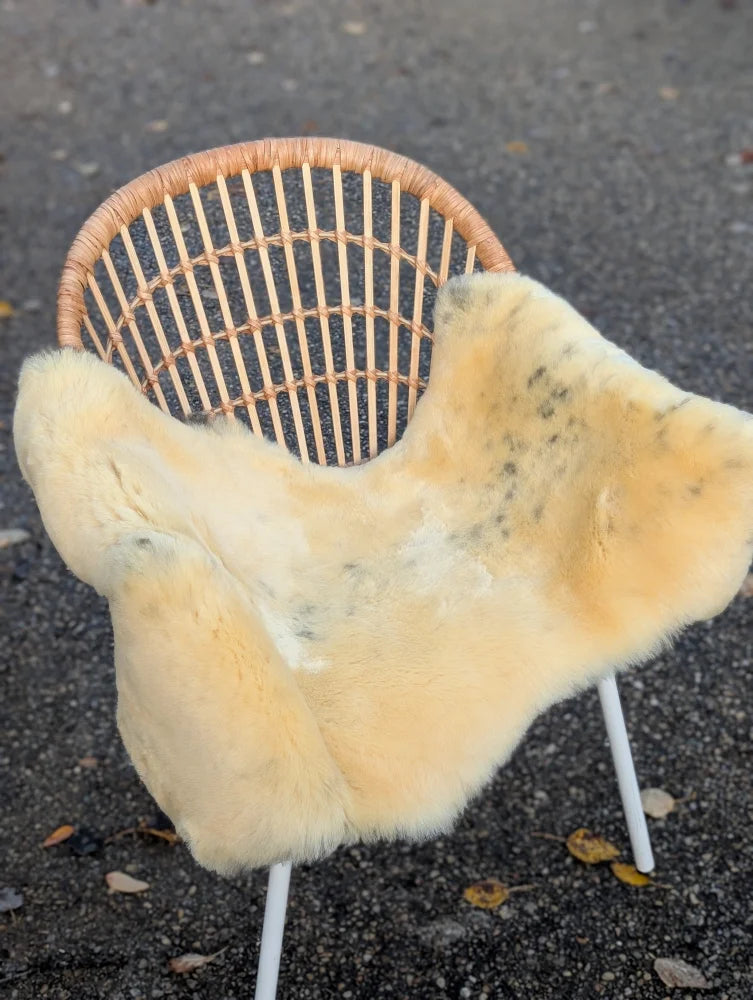 Cream-colored naturally spotted medical sheepskin rug draped over wicker chair with white metal legs washable and soft