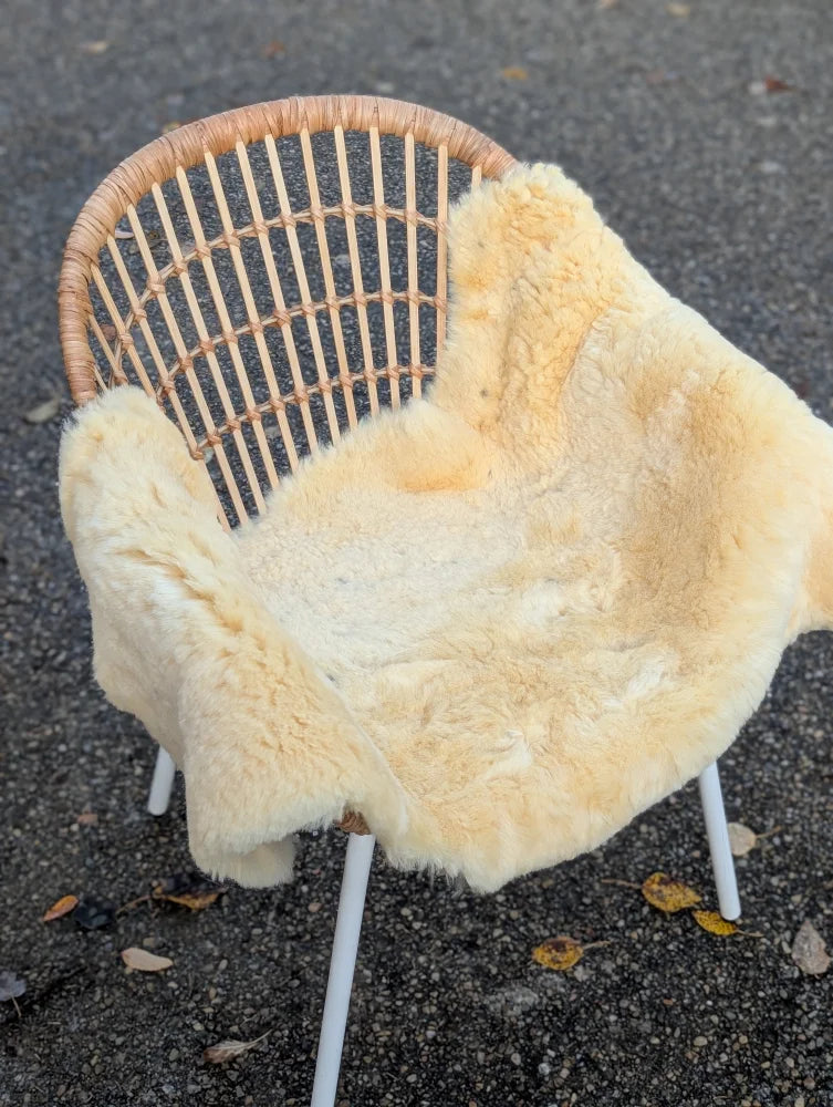 A cozy cream-colored washable medical sheepskin draped over a wicker chair with white metal legs