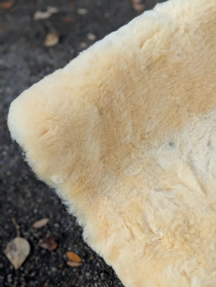 Cream-colored washable medical sheepskin with soft fluffy texture and natural tone variations for medical use