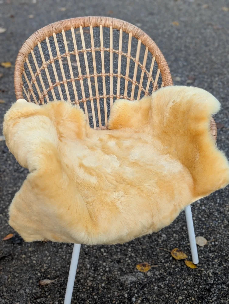 Soft golden-yellow washable medical sheepskin blanket draped over wicker chair by angus oliver british sheepskins
