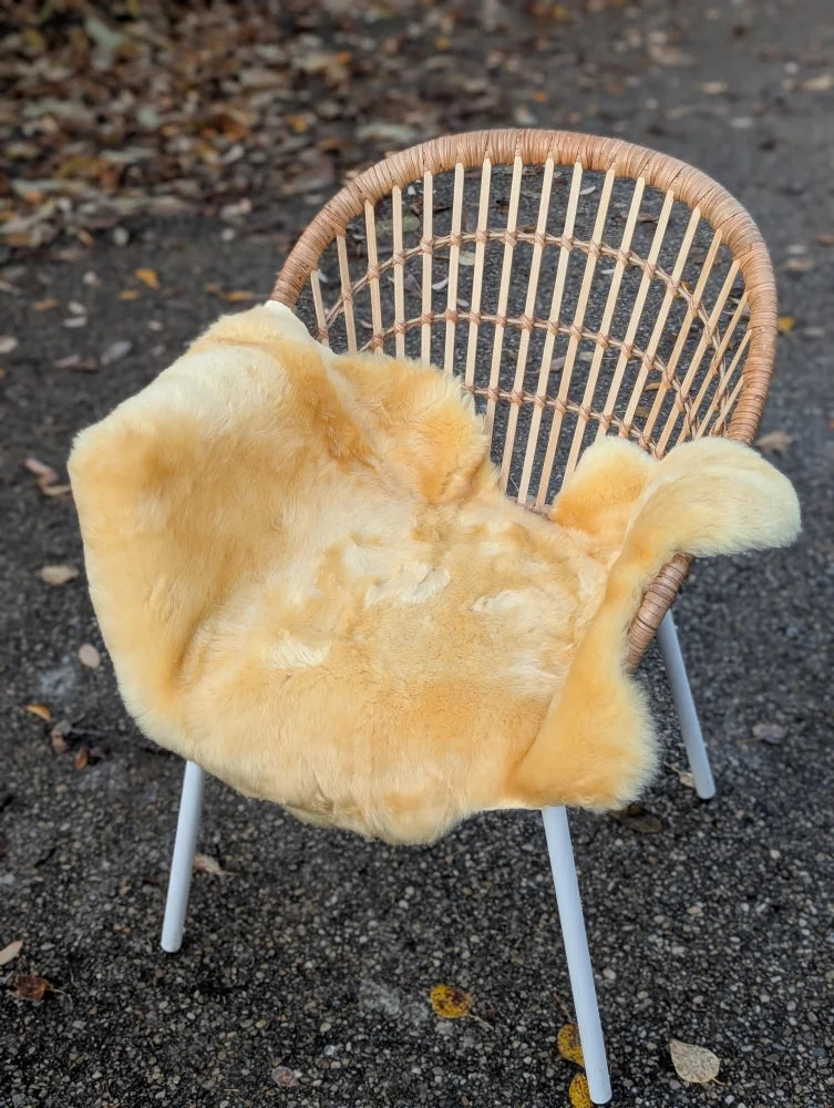 A soft golden-brown medical sheepskin chair cover draped over a woven wicker chair with white metal legs by angus oliver