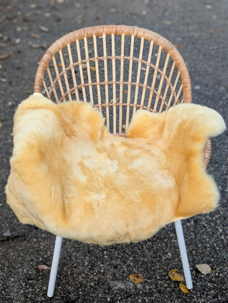 A soft golden-yellow washable medical sheepskin draped over a wicker chair from angus oliver medical sheepskins