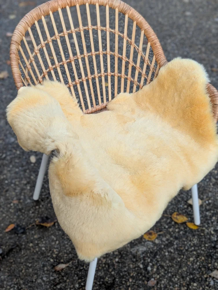 Cream-colored medical sheepskin chair cover draped over wicker chair made from british sheepskins by angus oliver