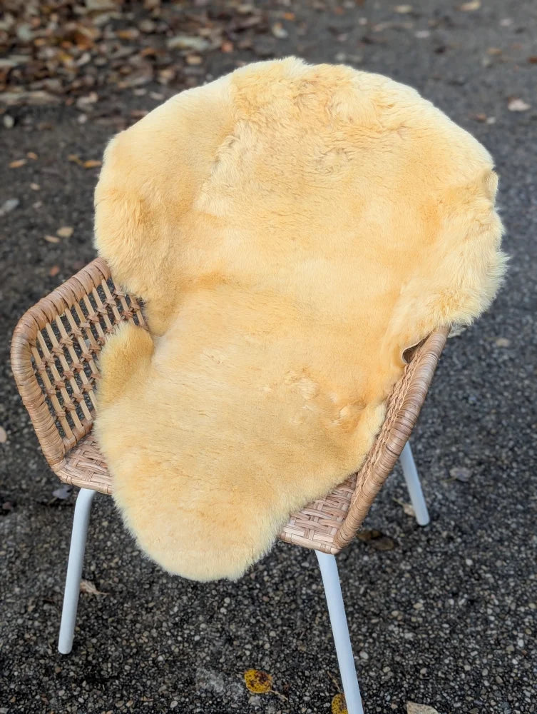 A soft creamy beige angus oliver medical sheepskin rug with plush natural texture and gentle curls 40 by 27 inches