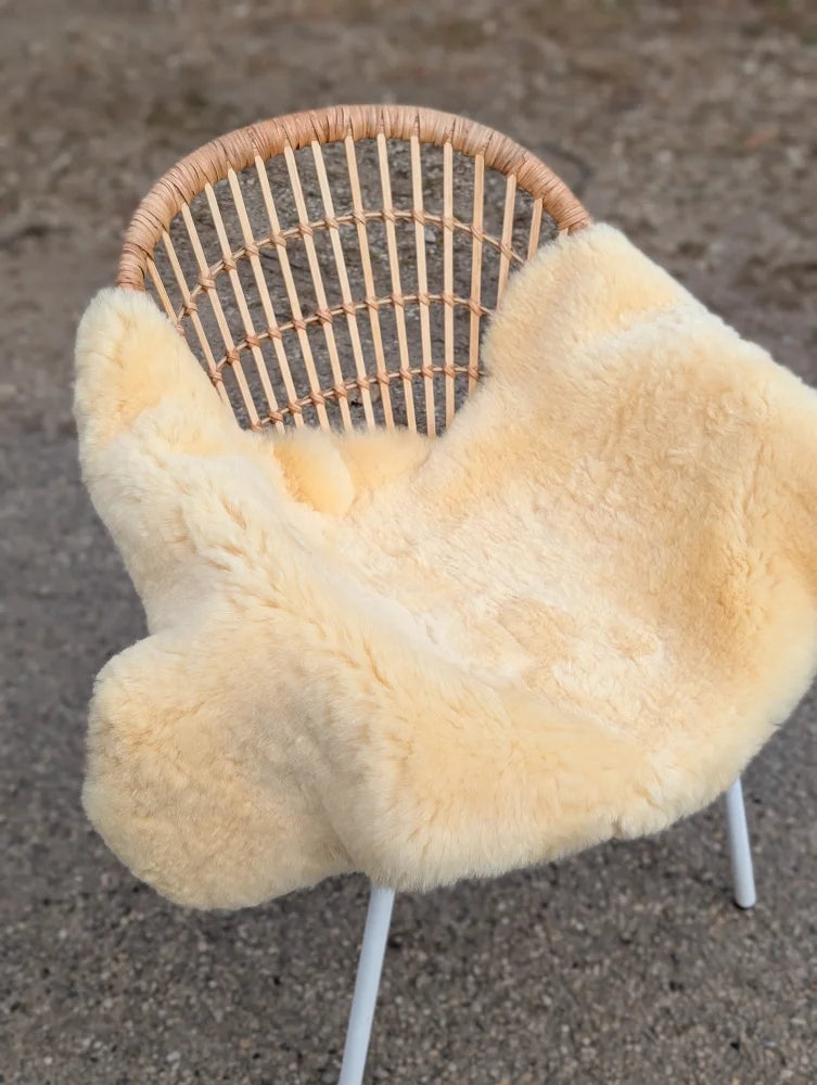Cream-colored extra large washable medical sheepskin throw naturally spotted draped over wicker chair