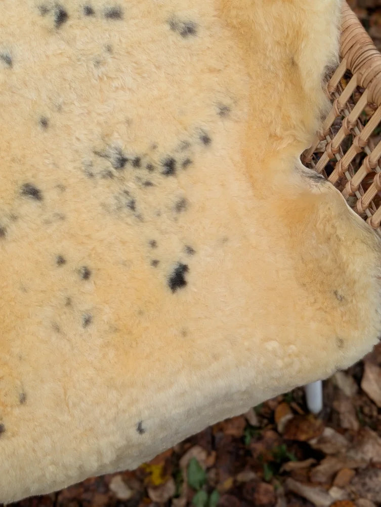 Cream-colored naturally spotted medical sheepskin rug with black speckles on a woven wicker surface