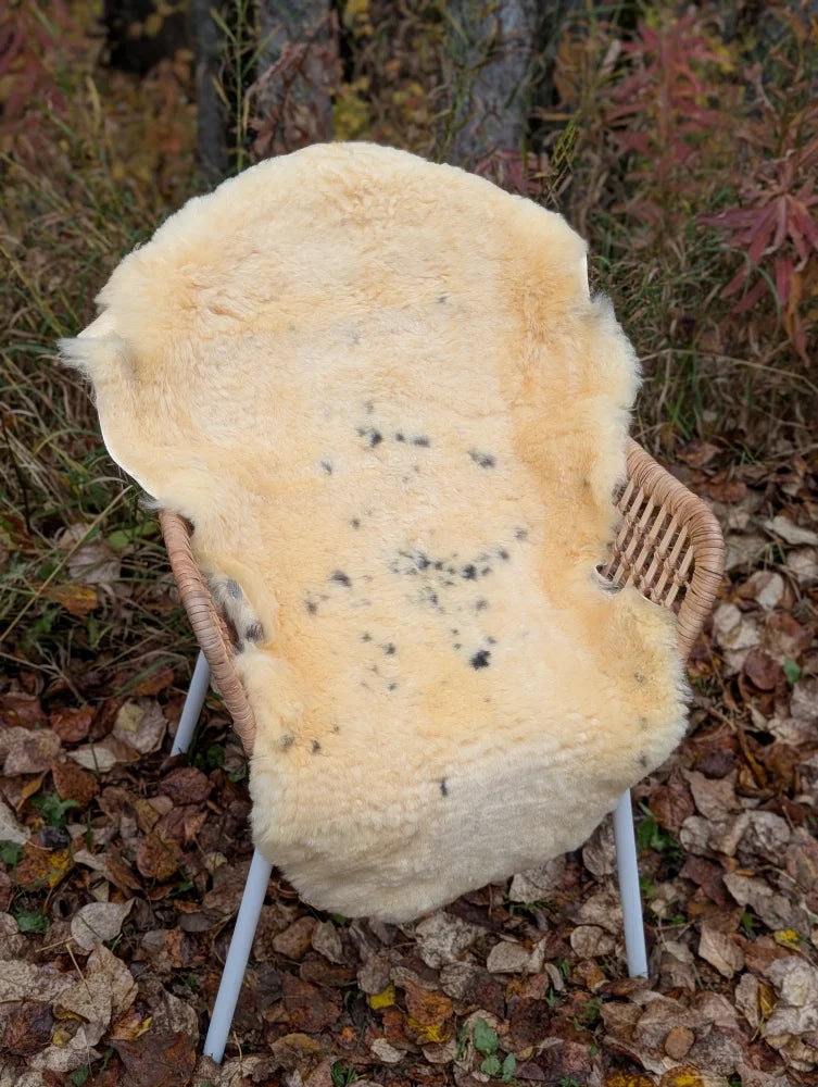 Cream-colored naturally spotted medical sheepskin rug draped over wicker chair washable medical sheepskins