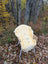 Cream-colored washable medical sheepskin naturally spotted draped over wicker chair on autumn leaves