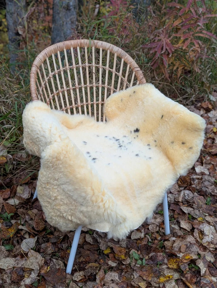 Cream-colored medical sheepskin blanket naturally spotted draped over wicker chair washable and soft medical sheepskins