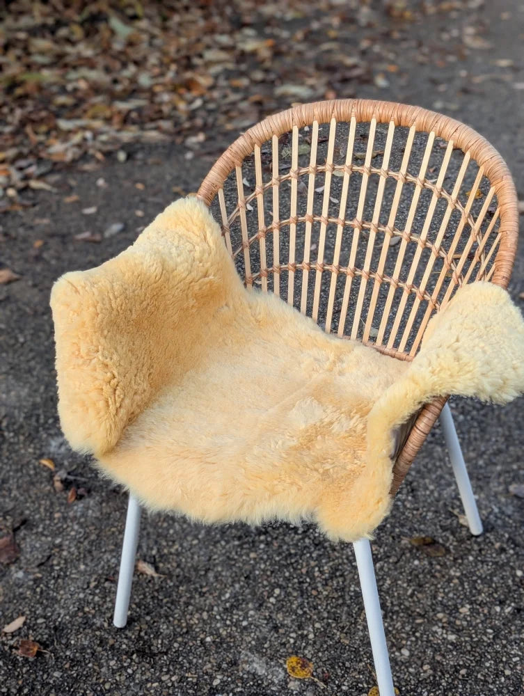Woven rattan chair with white metal legs draped in soft light beige washable medical sheepskin by angus oliver british sheepskins