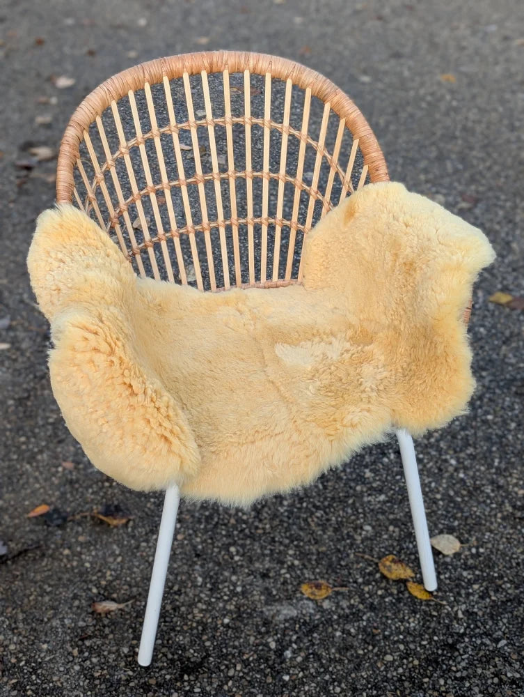 A cozy light beige washable medical sheepskin blanket draped over a modern rattan chair by angus oliver british sheepskins