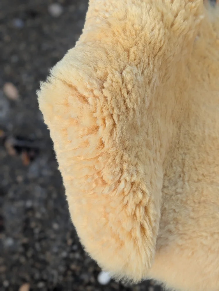 Cream-colored plush washable medical sheepskin by angus oliver with soft textured surface for comfort and support