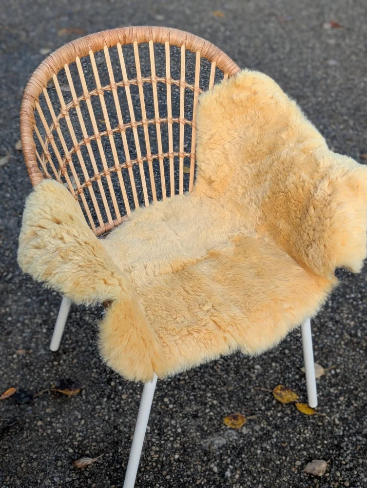 Woven rattan chair with white metal legs draped in soft beige angus oliver medical sheepskin washable cover