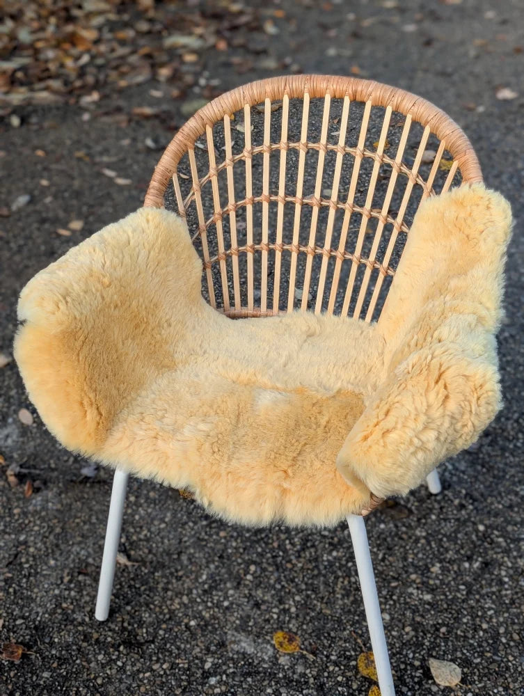 A cozy light beige washable medical sheepskin cushion on a modern rattan chair by angus oliver british sheepskins