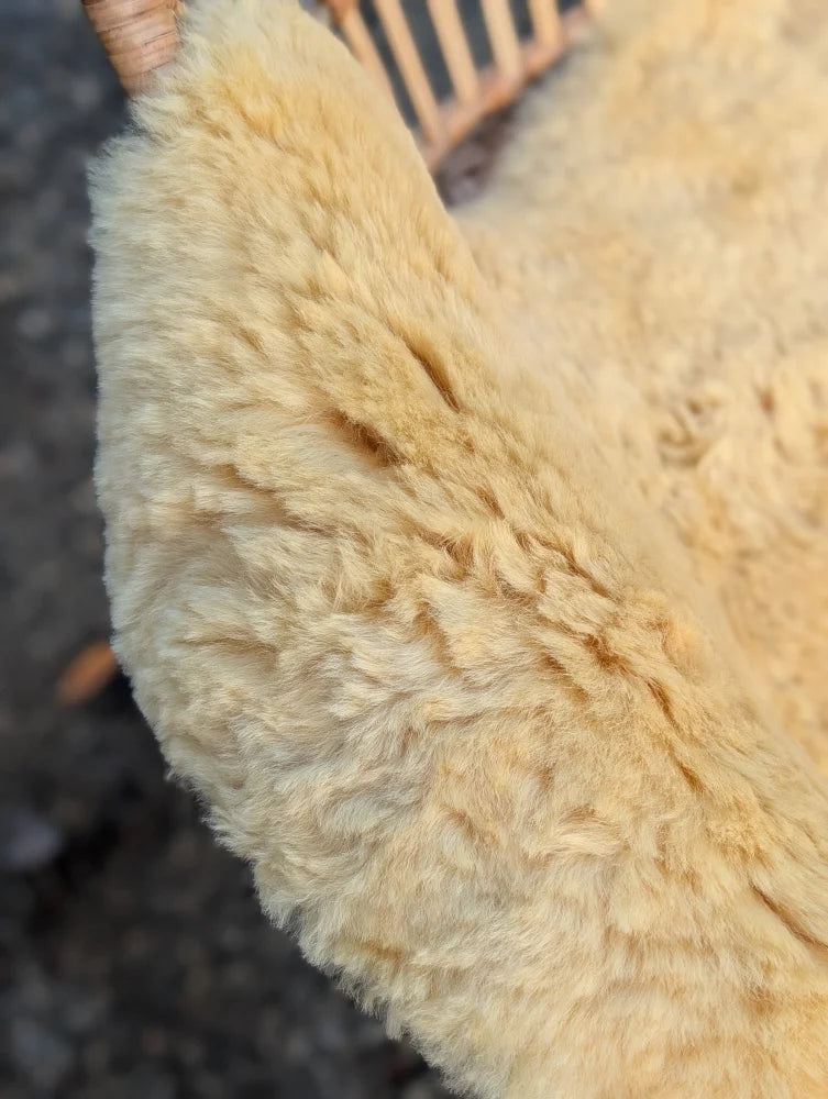 Cream-colored plush medical sheepskin rug by angus oliver with soft textured surface washable medium size