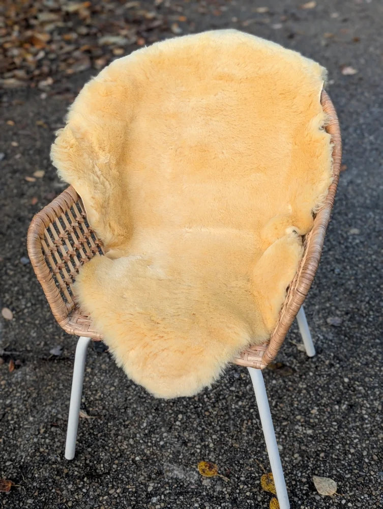 A cozy light beige washable medical sheepskin blanket draped over a wicker chair by angus oliver british sheepskins