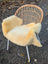 A cozy cream medical sheepskin cushioned chair with woven wicker back and white metal legs by angus oliver british sheepskins