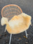 A cozy cream-colored washable medical sheepskin cushion on a modern wicker chair by angus oliver british sheepskins