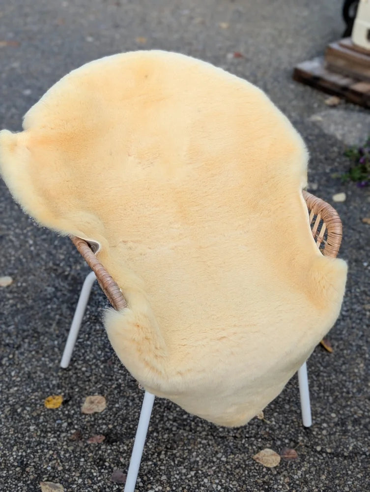 Cream-colored washable medical sheepskin draped over a wicker chair with white legs for medical sheepskins comfort