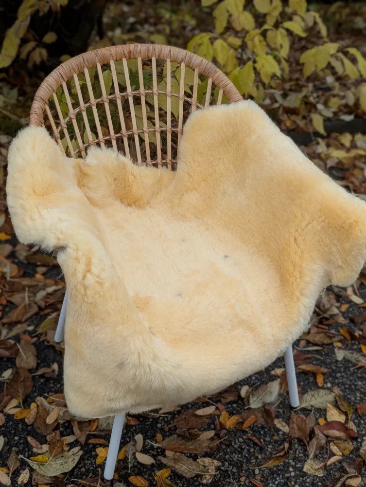 Cream-colored naturally spotted medical sheepskin draped over wicker chair washable medical sheepskins