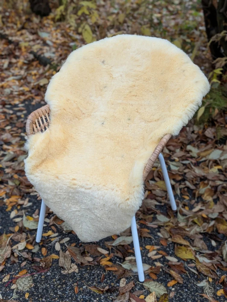 Cream-colored naturally spotted medical sheepskin rug draped over woven wicker chair with white metal legs