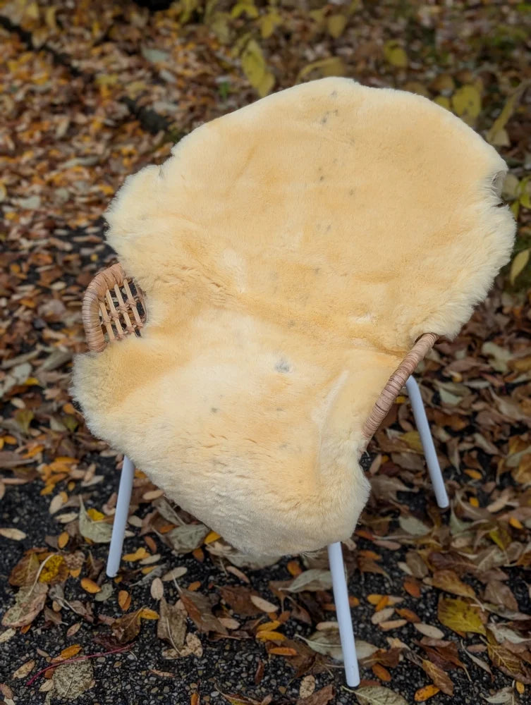 Cream-colored medical sheepskin chair cover naturally spotted draped over wicker and white metal frame washable medical sheepskins
