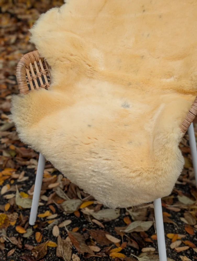 Cream-colored naturally spotted medical sheepskin rug draped over wicker chair with white metal legs in medical sheepskins style