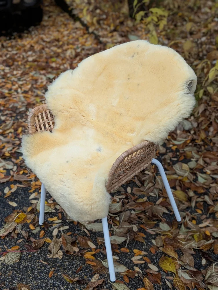 Cream-colored medical sheepskin chair with woven wicker armrests and white metal legs naturally spotted and washable