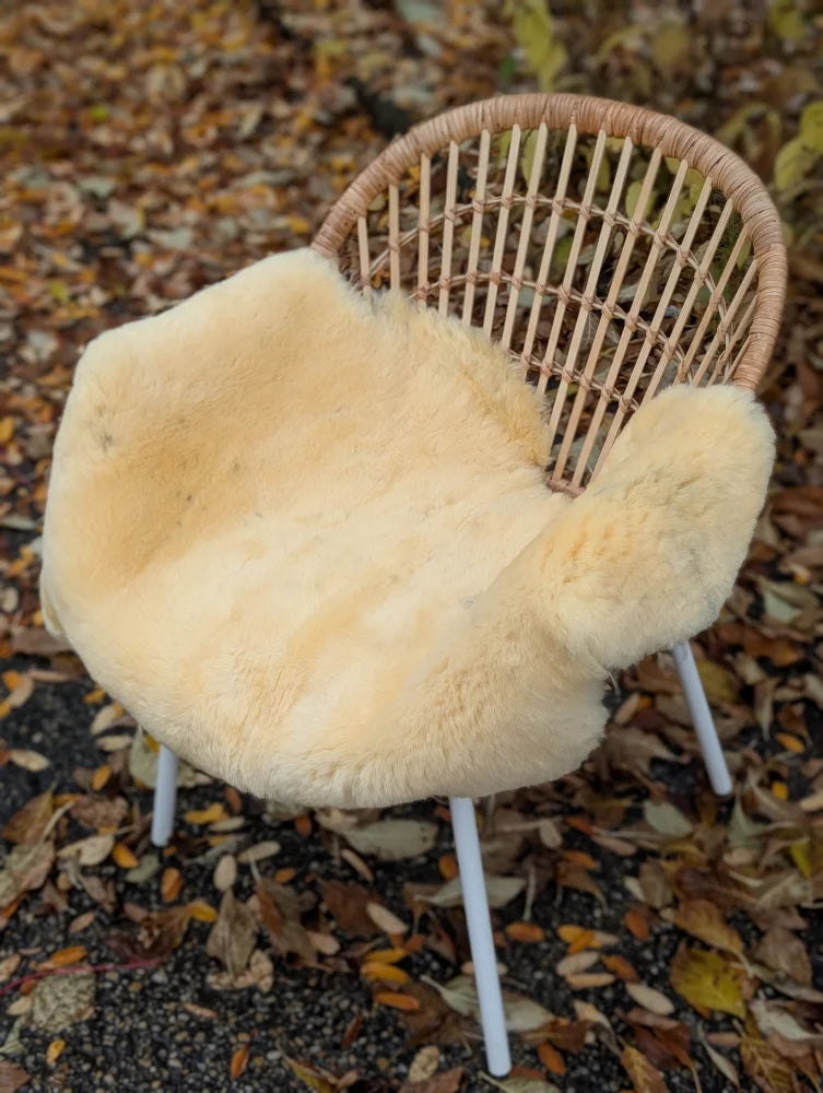 Cream-colored medical sheepskin chair pad with soft fluffy texture and natural fur edges naturally spotted design