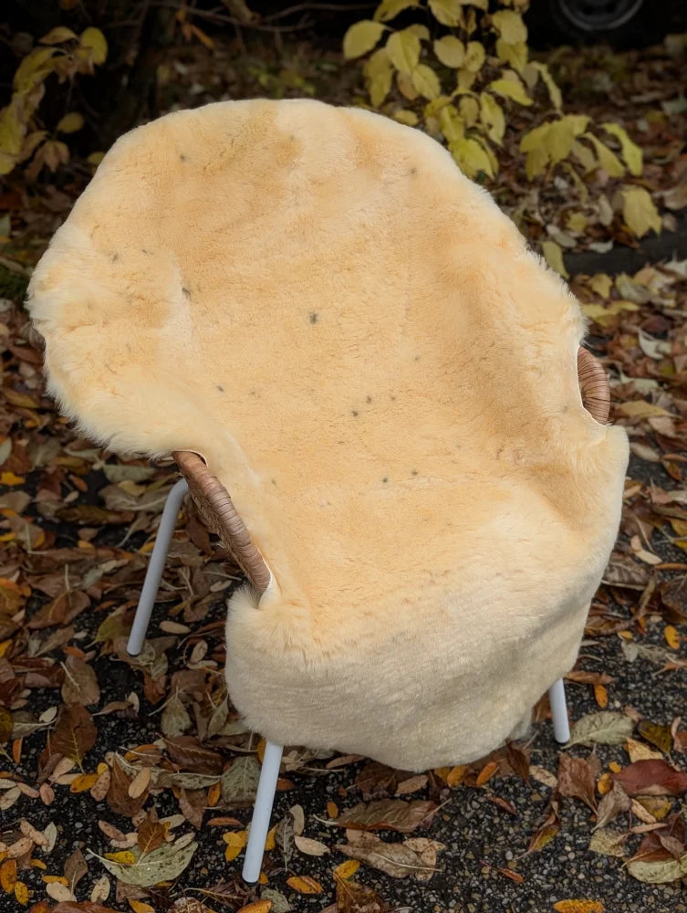 Cream-colored medical sheepskin chair with woven wicker armrests and white metal legs naturally spotted and washable